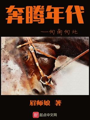 奔腾年代&mdash&mdash向南向北