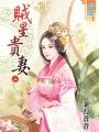 贼星贵妻